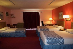 Family Room Bedroom
