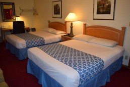 Standard Queen Double Room