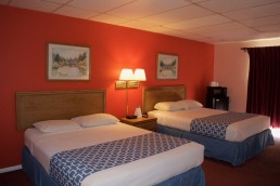 Standard Queen Double Room