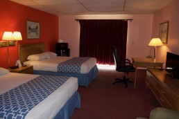 Standard Queen Double Room