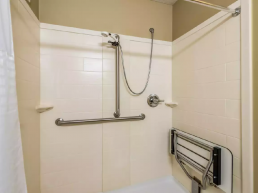 handicap shower