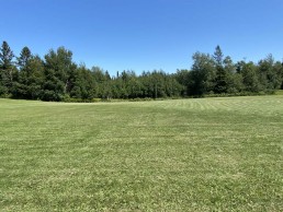 prentice field