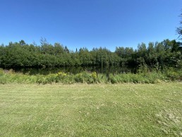 prentice field