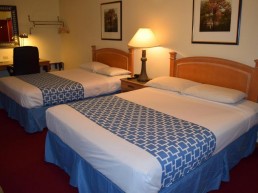 Standard Queen Double Room